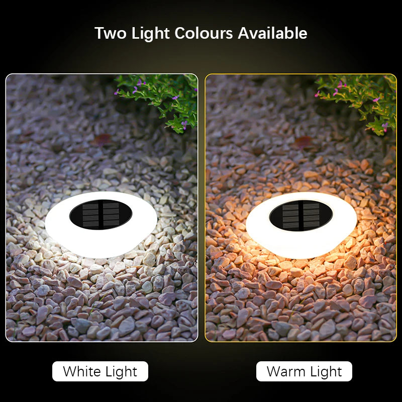 Solar Grondspots voor Tuin en Pad